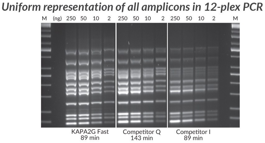 KAPA2G Fast Multiplex PCRキット、競合品Q、競合品Iを用いて実施したマルチプレックスPCR（12-plex）。