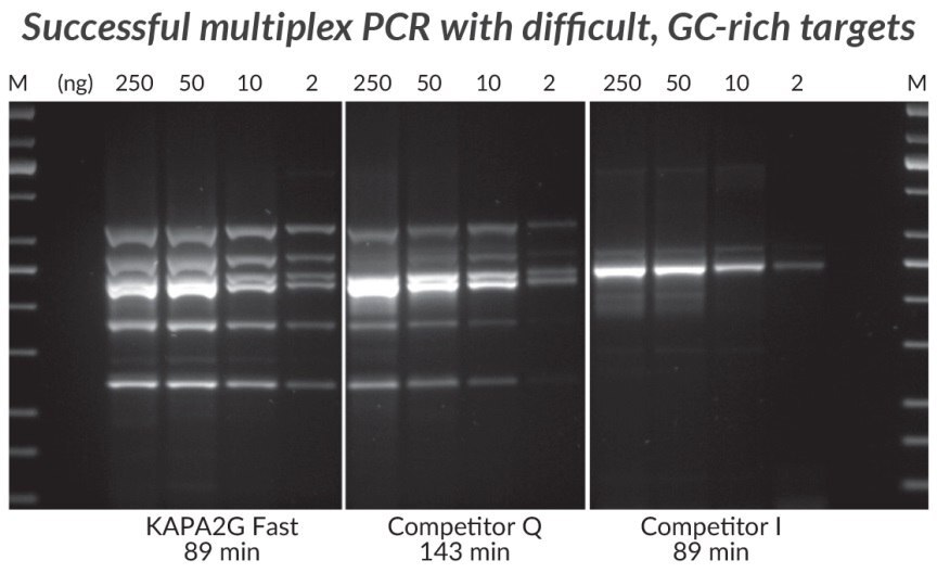 KAPA2G Fast Multiplex PCRキット、競合品Q、競合品Iを用いて実施したGCリッチのマルチプレックスPCR（6-plex）。