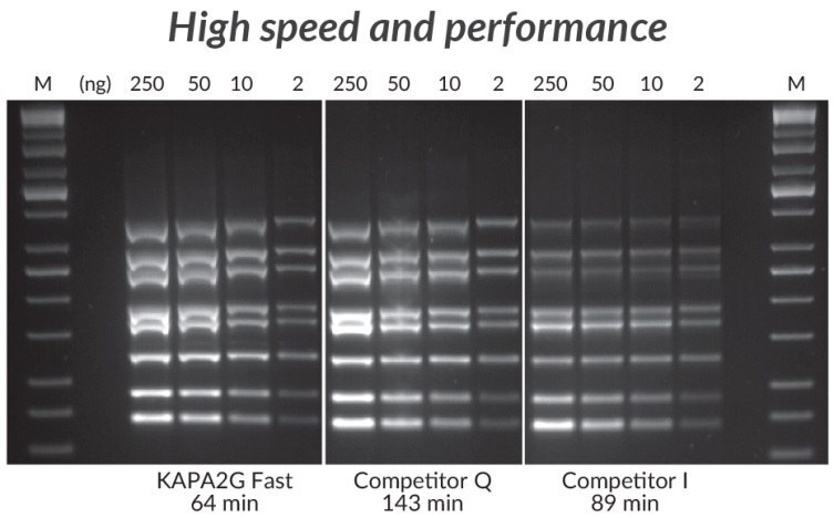 KAPA2G Fast Multiplex PCRキット、競合品Q、競合品Iを用いて実施したマルチプレックスPCR（8-plex）。