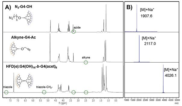 Dendritic polyester scaffolds for drug delivery applications CuAAC coupling of fourth generation dendrons
