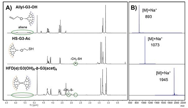 Dendritic polyester scaffolds for drug delivery applications UV-initiated TEC coupling of third generation dendrons