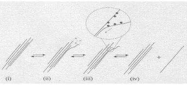 Proposed mechanism of nanotube isolation from bundles(2). Figure 1. Proposed mechanism of nanotube isolation from bundles (2).