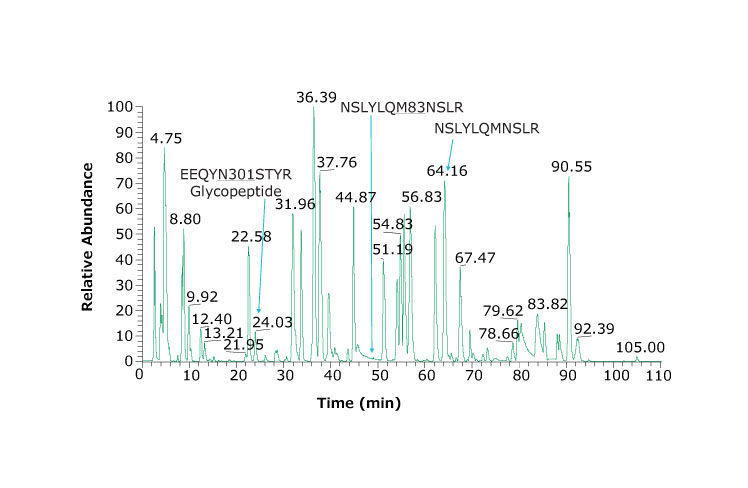 Base peak chromatogram of adalimumab tryptic peptides. Heavy chain glycosylated peptide (EEQYN301STYR) is observed at 24.03 min. Using a dual column set up and an example peptide and its oxidized form are NSLYLQM83NSLR and NSLYLQMNSLR and eluting at 49.30 and 64.16 min, respectively. Base peak chromatogram of adalimumab tryptic peptides. Heavy chain glycosylated peptide (EEQYN301STYR) is observed at 24.03 min. Using a dual column set up and an example peptide and its oxidized form are NSLYLQM83NSLR and NSLYLQMNSLR and eluting at 49.30 and 64.16 min, respectively.