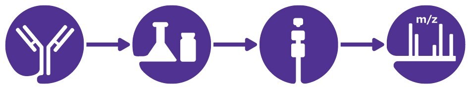 Workflow for High-Throughput Glycoprofiling of Rituximab