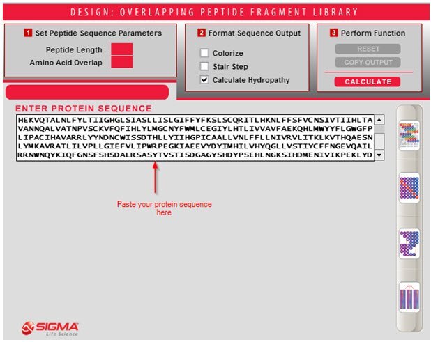 Protein Sequence
