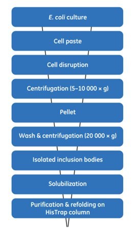 General scheme for the extraction, solubilization