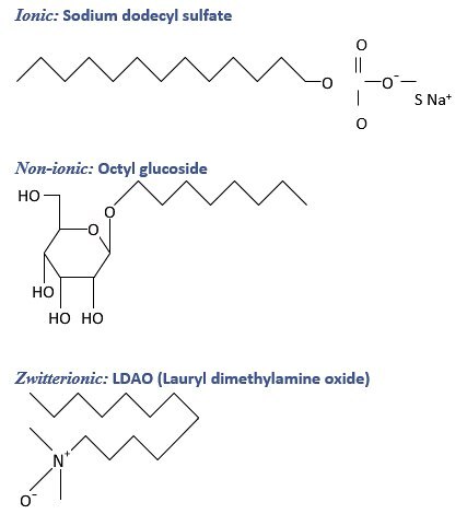 Chemical structures of selected detergents from the different classes Chemical structures of selected detergents from the different classes