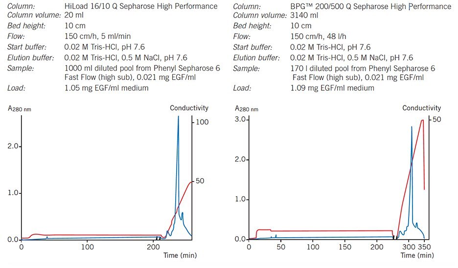 Elution pattern, purity and yield are maintained when scaling-up from a HiLoad column to a BPG column. Elution pattern, purity and yield are maintained when scaling-up from a HiLoad column to a BPG column