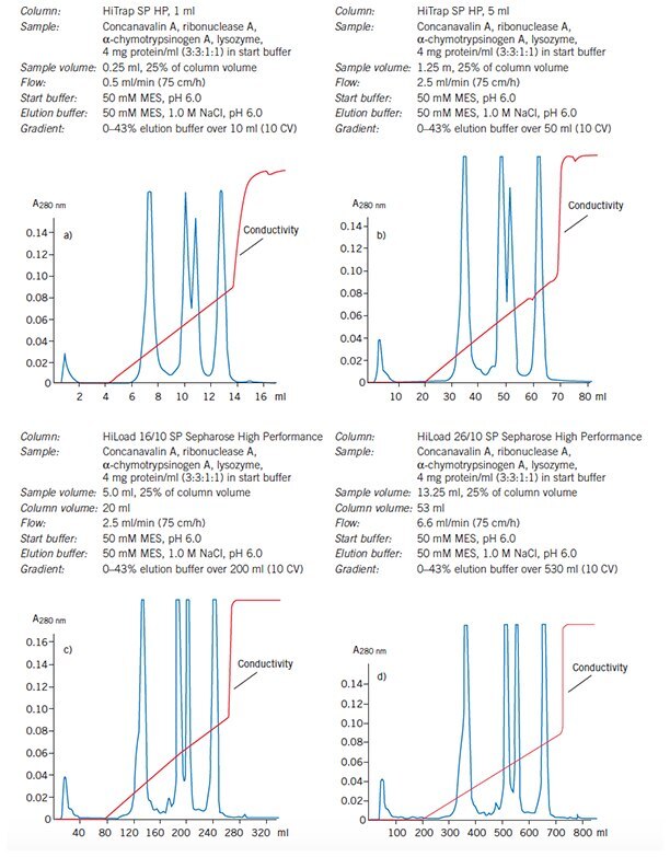 Reproducibility maintained as purification is scaled up from a 1 ml HiTrap column through to a 53 ml HiLoad 26/10 SP Sepharose High Performance column. Reproducibility maintained as purification is scaled up from a 1 ml HiTrap column through to a 53 ml HiLoad 26/10 SP Sepharose High Performance column