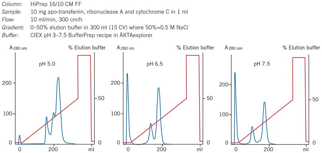 Selecting optimal pH for separation of standard proteins on HiPrep 16/10 CM FF. Selecting optimal pH for separation of standard proteins on HiPrep 16/10 CM FF