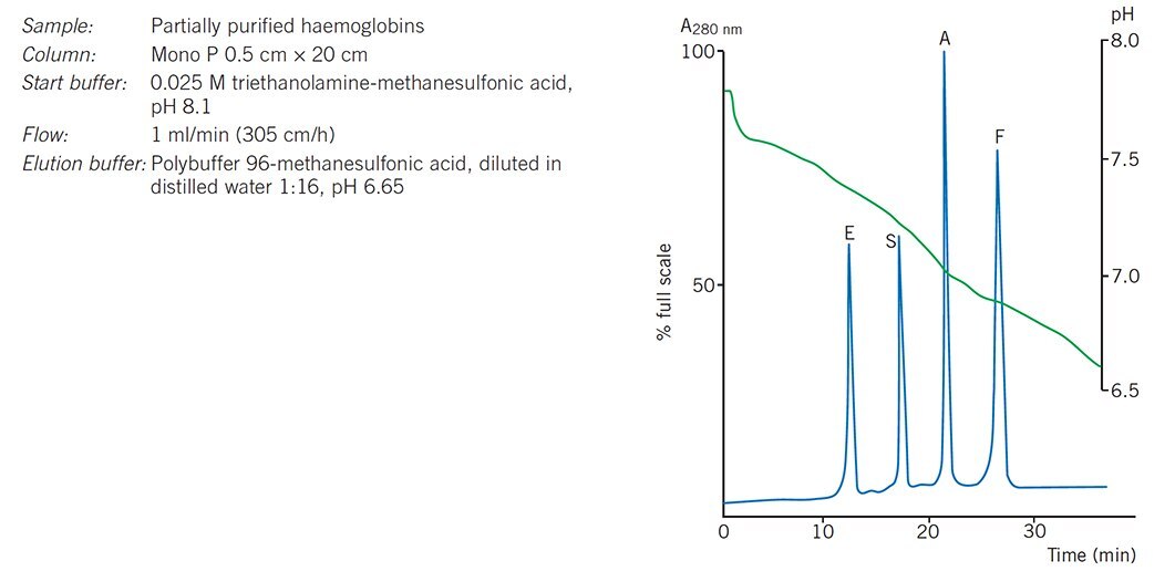 Chromatofocusing of haemoglobin variants Chromatofocusing of haemoglobin variants