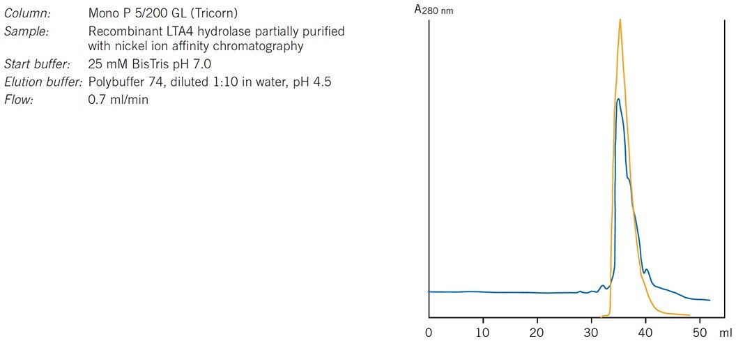 Purification of leukotriene A4 hydrolase. Results courtesy of Eva Ohlson, Karolinska Institutet, Stockholm, Sweden Purification of leukotriene A4 hydrolase. Results courtesy of Eva Ohlson, Karolinska Institutet, Stockholm, Sweden
