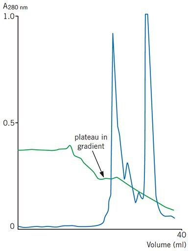 A plateau in a pH gradient during chromatofocusing caused by excess CO2 in the start buffe A plateau in a pH gradient during chromatofocusing caused by excess CO2 in the start buffe
