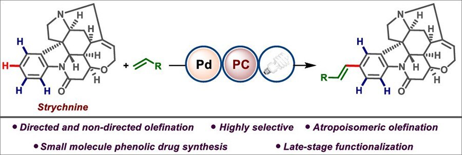 Fujiwara–Moritani reaction