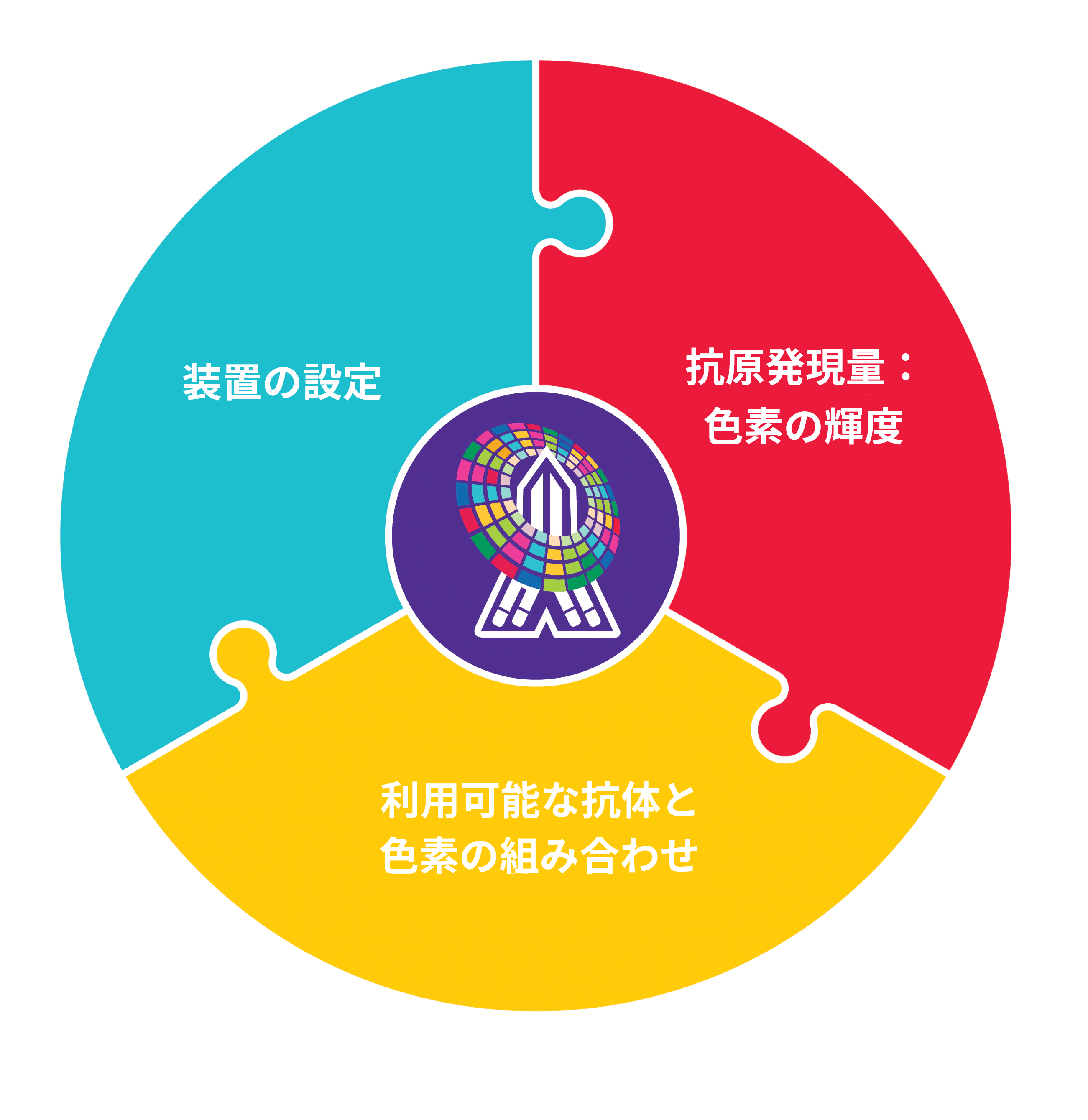ColorWheel®抗体および色素は、フローサイトメトリーのマルチプレックス化に伴うパズルのような装置の設定、抗原発現/色素の輝度、利用可能な抗体と色素の組み合わせなどの異なるピースの課題を上手く組み合わせることにより、難問の解決に役立ちます。 ColorWheel®抗体および色素は、フローサイトメトリーのマルチプレックス化に伴うパズルのような装置の設定、抗原発現/色素の輝度、利用可能な抗体と色素の組み合わせなどの異なるピースの課題を上手く組み合わせることにより、難問の解決に役立ちます。