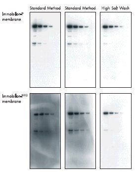 遷延性のバックグラウンドを除去するための高塩濃度洗浄 遷延性のバックグラウンドを除去するための高塩濃度洗浄