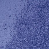 QCM ECMatrix Cell Invasion Assay, 24-well (8 &#181;m), colorimetric The CHEMICON Cell Invasion Assay Kit uses a 24-well plate, with 8 um pores, which provides an efficient system for evaluating the invasion of tumor cells through a basement membrane model.