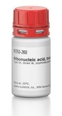 Ribonucleic acid, transfer from Escherichia coli Type XX, Strain W, lyophilized powder
