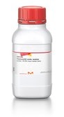 酸化チタン(IV)、アナターゼ powder, 99.8% trace metals basis