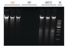 DNAgard® Tissue Trial kit, for room temp preservation of DNA