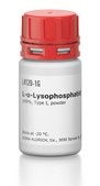 L-α-Lysophosphatidylcholine from egg yolk ≥99%, Type I, powder