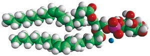 18:1 PI Avanti Research™ - A Croda Brand