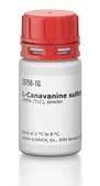 L-Canavanine sulfate salt ≥99% (TLC), powder