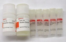 Extract-N-Amp™ Plant PCR Kit sufficient for 100 extractions, sufficient for 500 amplifications
