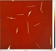 Silver nanowires diam. × L 200  nm × 10 μm, 0.5% (isopropyl alcohol suspension)