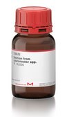 Dextran from Leuconostoc spp. Mr ~6,000
