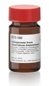 Collagenase from Clostridium histolyticum high purity, purified by chromatography, Type VII, ≥4 FALGPA units/mg solid, lyophilized powder, ≥700 CDU/mg solid (CDU = collagen digestion units)