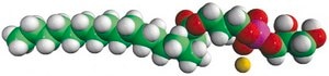 18:0 Lyso PG Avanti Research™ - A Croda Brand