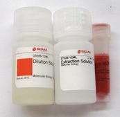 Extract-N-Amp™ Plant PCR Kit sufficient for 100 extractions, sufficient for 100 amplifications