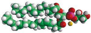 18:0-22:6 PG 1-stearoyl-2-docosahexaenoyl-sn-glycero-3-phospho-(1′-rac-glycerol) (sodium salt), chloroform