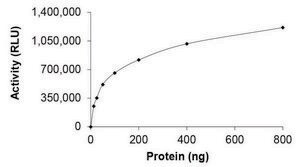 KRAS (Mature Form), Active PRECISIO® Kinase, recombinant