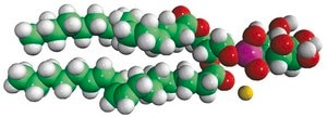 Soy PI Avanti Research™ - A Croda Brand 840044C