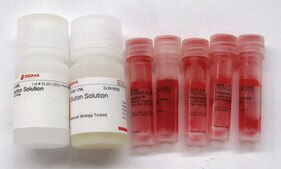 REDExtract-N-Amp™ Plant PCR Kit sufficient for 100 extractions, sufficient for 500 amplifications