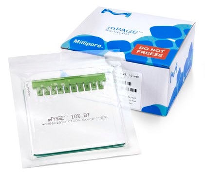 mPAGE® 12% Bis-Tris Precast Gel L × W × wells 10 cm × 8 cm × 10 well