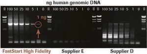 FastStart™ ハイフィデリティPCRシステム 5 unit/μL, suitable for PCR, High Fidelity PCR, hotstart, Multiplex PCR