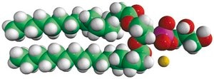 16:0 PG Avanti Research™ - A Croda Brand