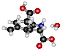 Kainic acid monohydrate ≥99% (TLC)
