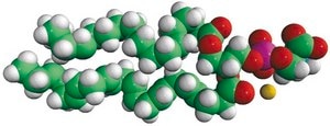18:0-22:6 PS 1-stearoyl-2-docosahexaenoyl-sn-glycero-3-phospho-L-serine (sodium salt), chloroform