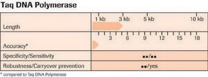 Taq DNA Polymerase、5 U/μL optimum pH ~9.0 (20 °C), optimum reaction temp. 72 °C