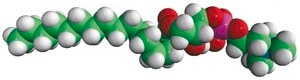 16:0 Lyso PC 1-palmitoyl-2-hydroxy-sn-glycero-3-phosphocholine, chloroform