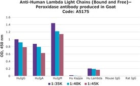 Anti-Human Lambda Light Chains (Bound and Free)−Peroxidase antibody produced in goat affinity isolated antibody, buffered aqueous solution