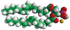 18:2 PA 1,2-dilinoleoyl-sn-glycero-3-phosphate (sodium salt), chloroform