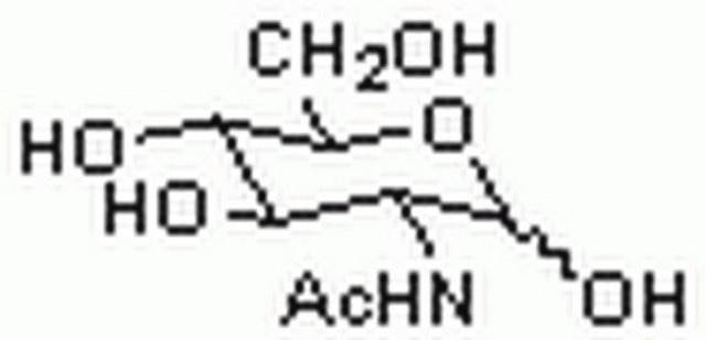 N-Acetyl-D-glucosamine An acceptor substrate for galactosyltransferases. Inhibits the lectin WGA and β-N-acetylhexosaminidase (Ki = 430 µM). When added to a medium, it improves the recovery of Haemophilus influenza from sputum.