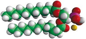 12:0 PA 1,2-dilauroyl-sn-glycero-3-phosphate (sodium salt), powder