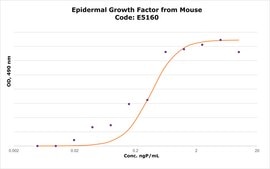 Epidermal Growth Factor from mouse EGF
