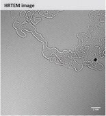 単層グラフェン膜 1 cm x 1 cm on copper foil, with PMMA coating, avg. no. of layers, 1